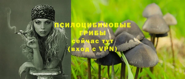 гидра Абинск