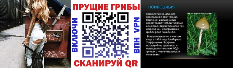Псилоцибиновые грибы мухоморы  Новотроицк 